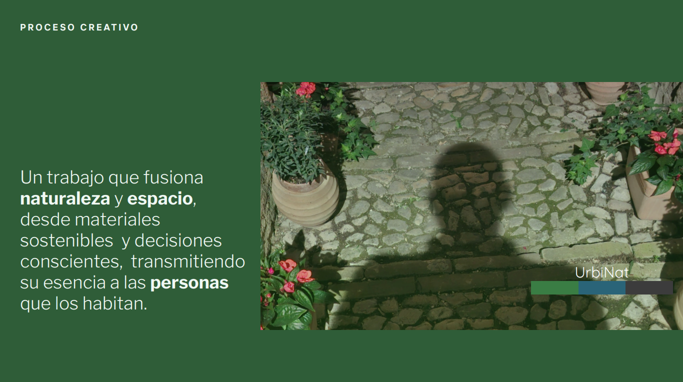 Camino empedrado con vegetación